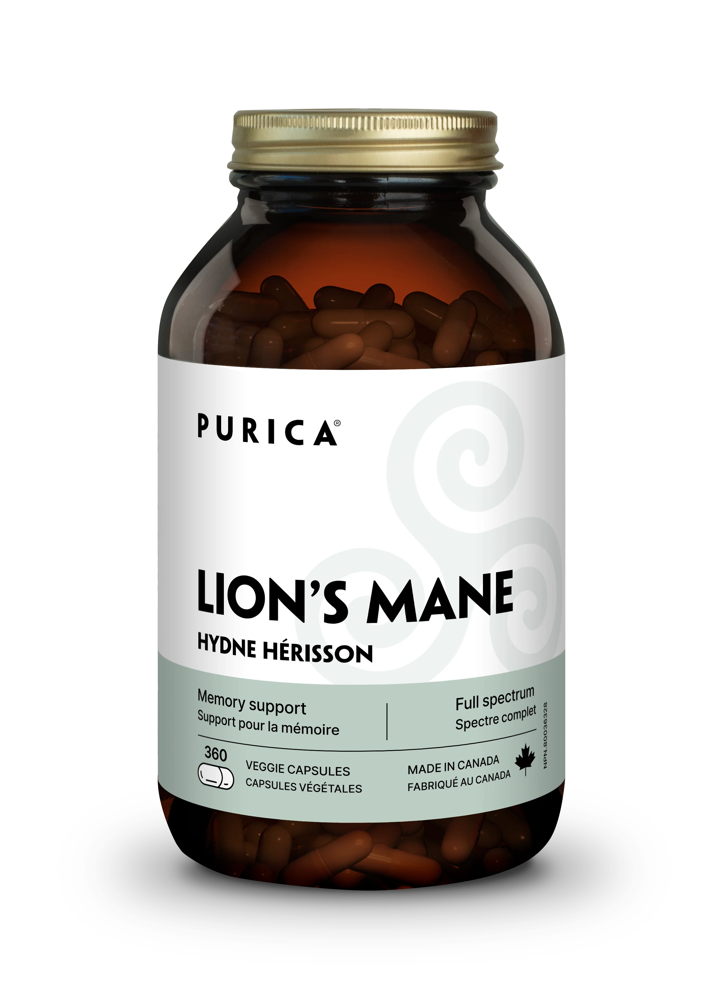 Purica Lion's Mane - Image 4